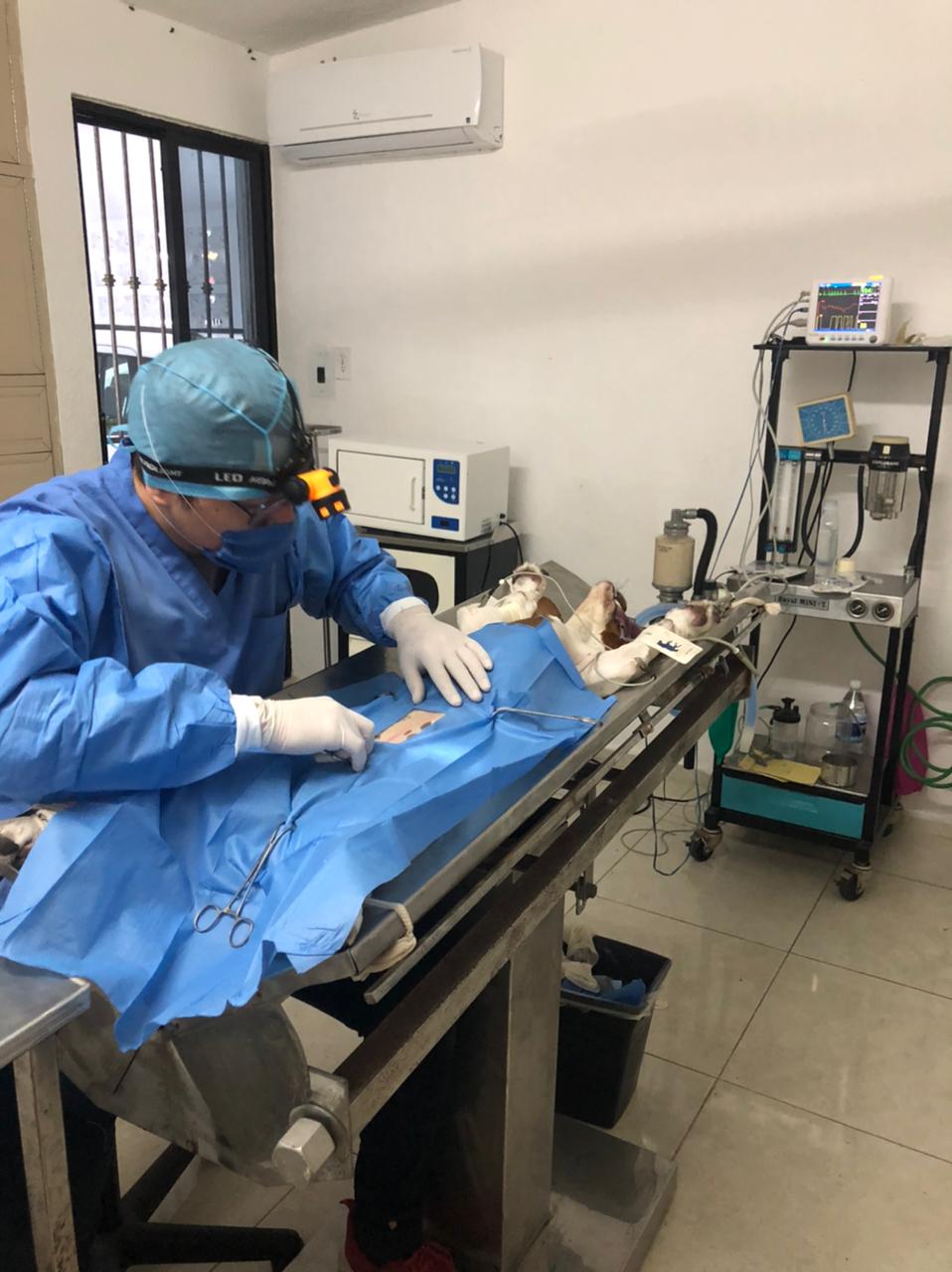 Animal Center — foto 4