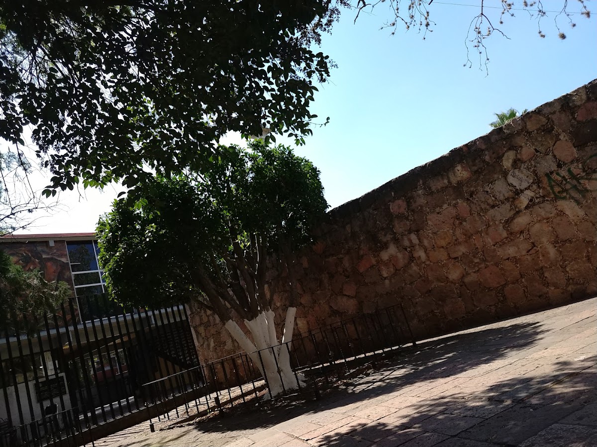 Femme Ginecología y Obstetricia Integral — foto 2