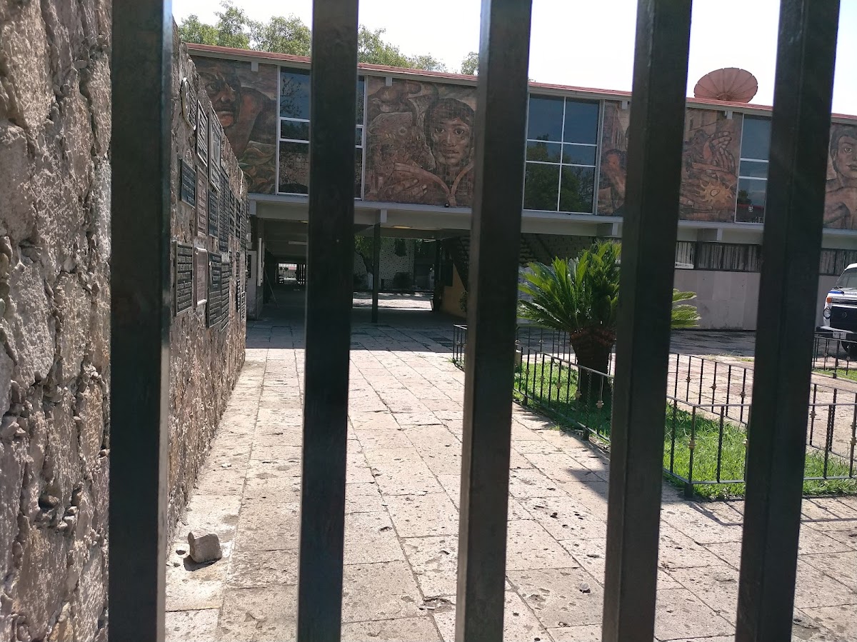 Femme Ginecología y Obstetricia Integral — foto 3