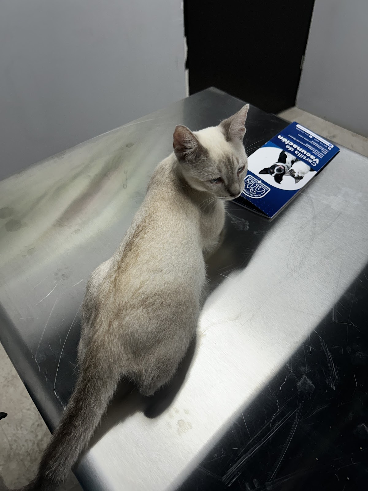 Hospital Veterinario González Guerrero — foto 3