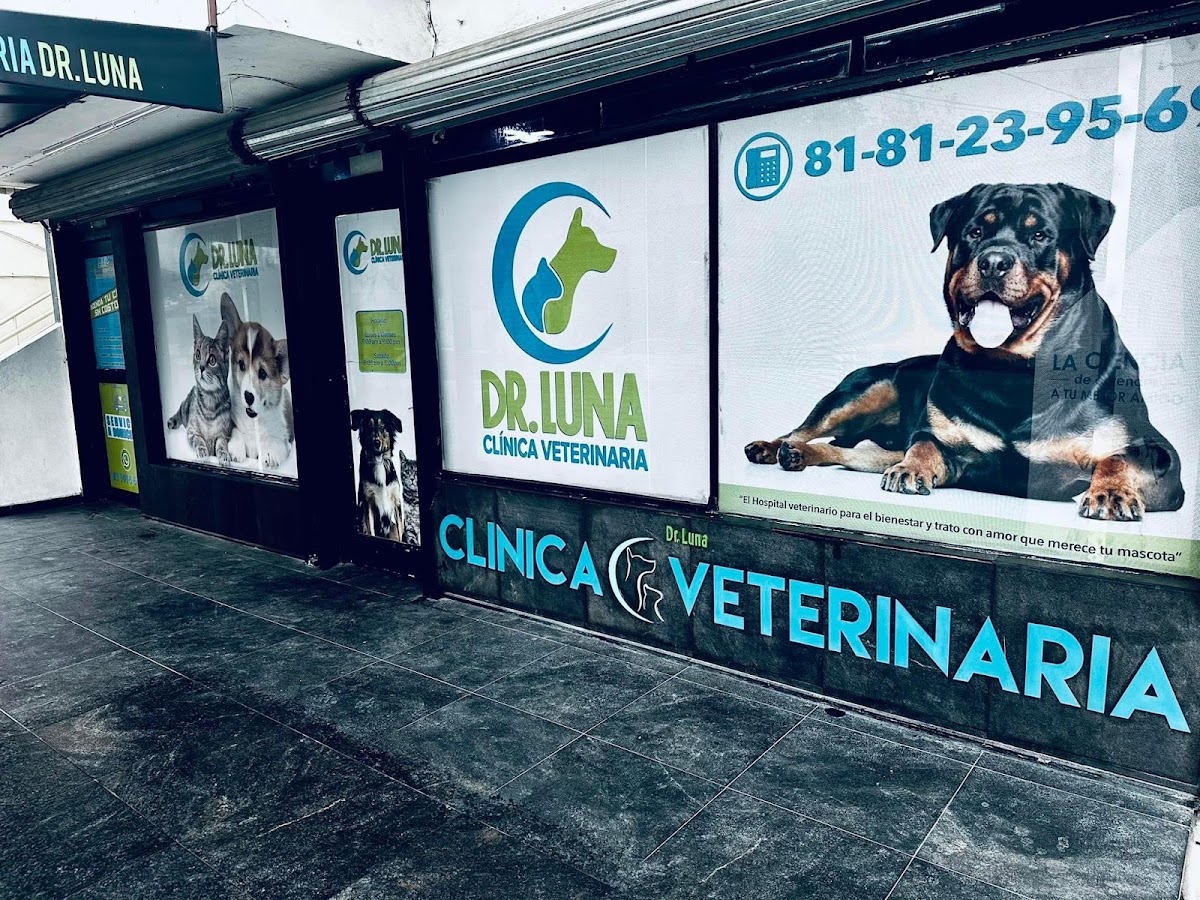 Clínica Veterinaria Dr. Luna — foto 2