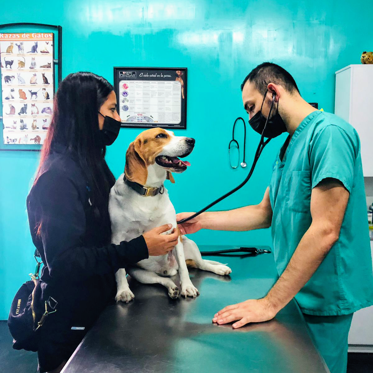 Clínica Veterinaria Dr. Luna — foto 4
