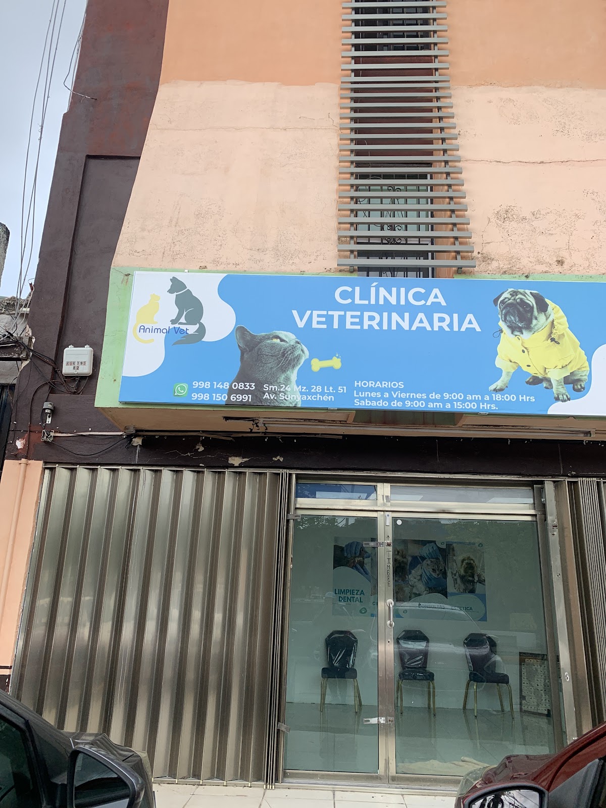 Animal Vet — foto 3