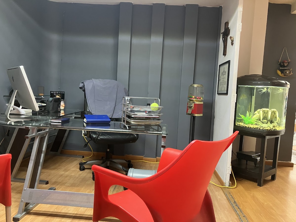 Cirujano Dentista Dr. Francisco Figueroa