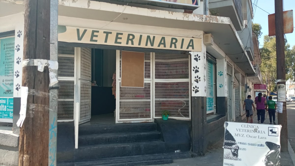 HACHI veterinaria (antes pets city) — foto 3