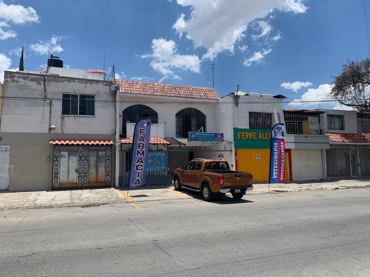 HACHI veterinaria (antes pets city) — foto 4