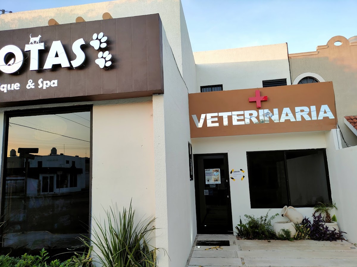 Clínica Veterinaria Mascotas boutique & spa