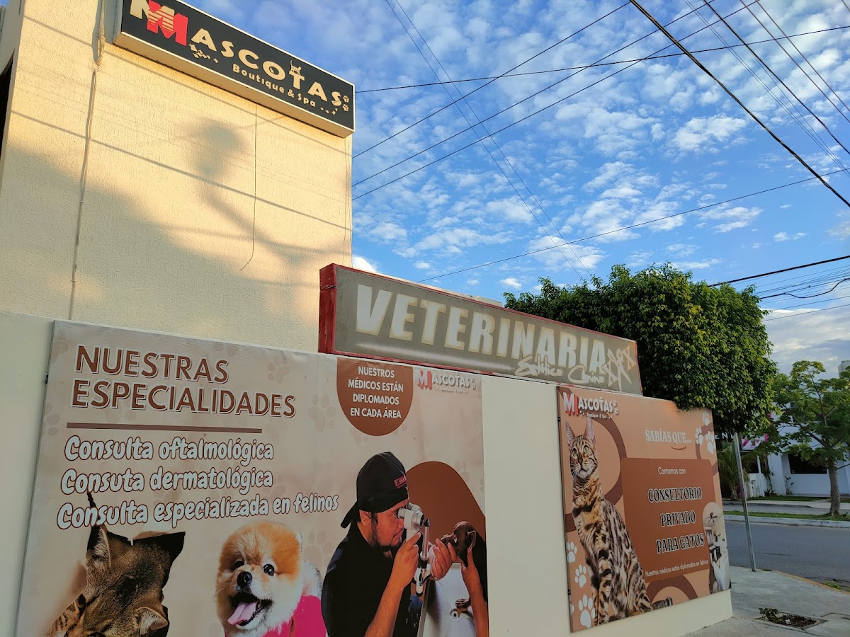 Clínica Veterinaria Mascotas boutique & spa — foto 2