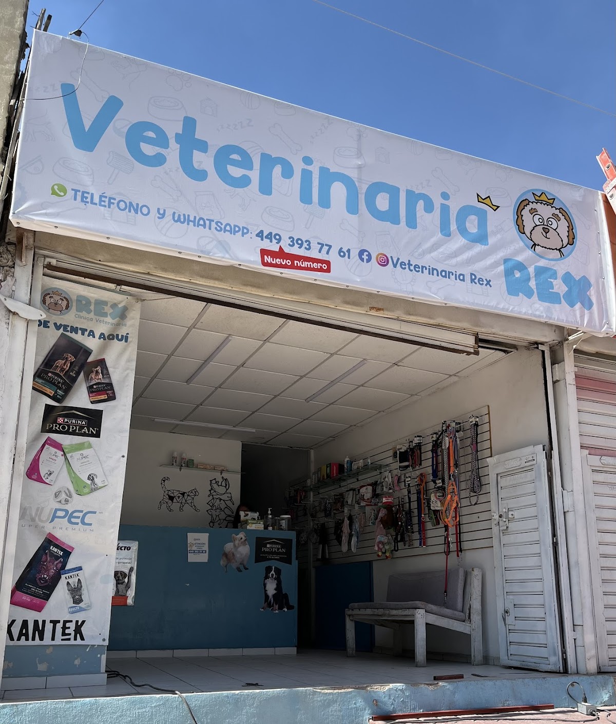 CLINICA VETERINARIA REX