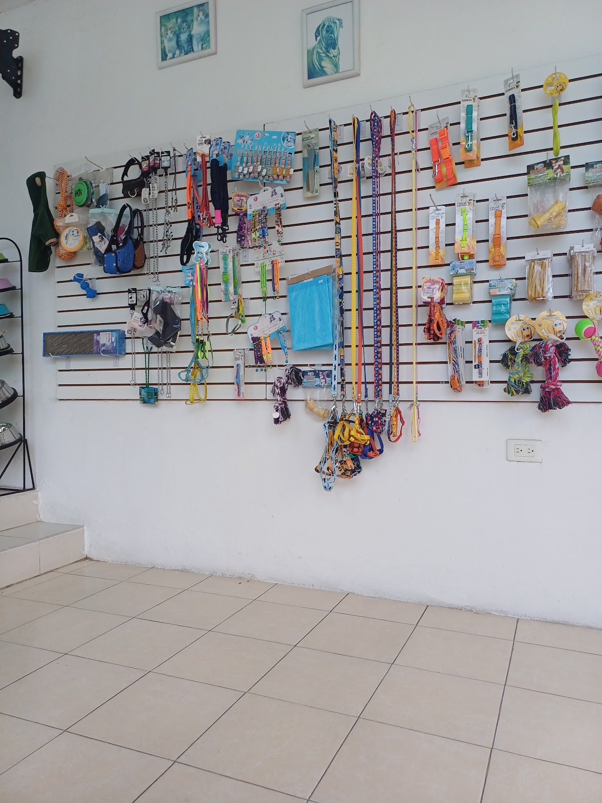 Clínica veterinaria Pek