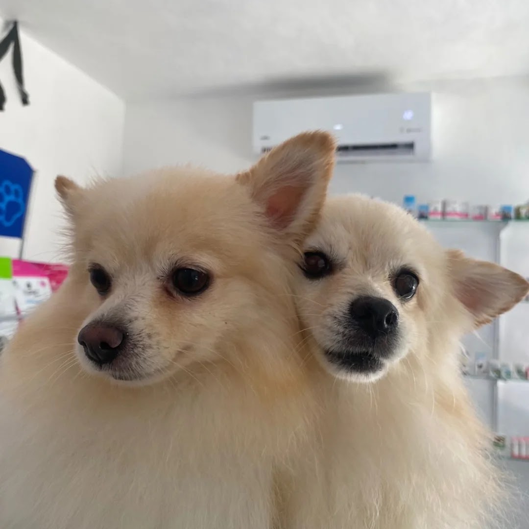 Clínica veterinaria Pek — foto 2