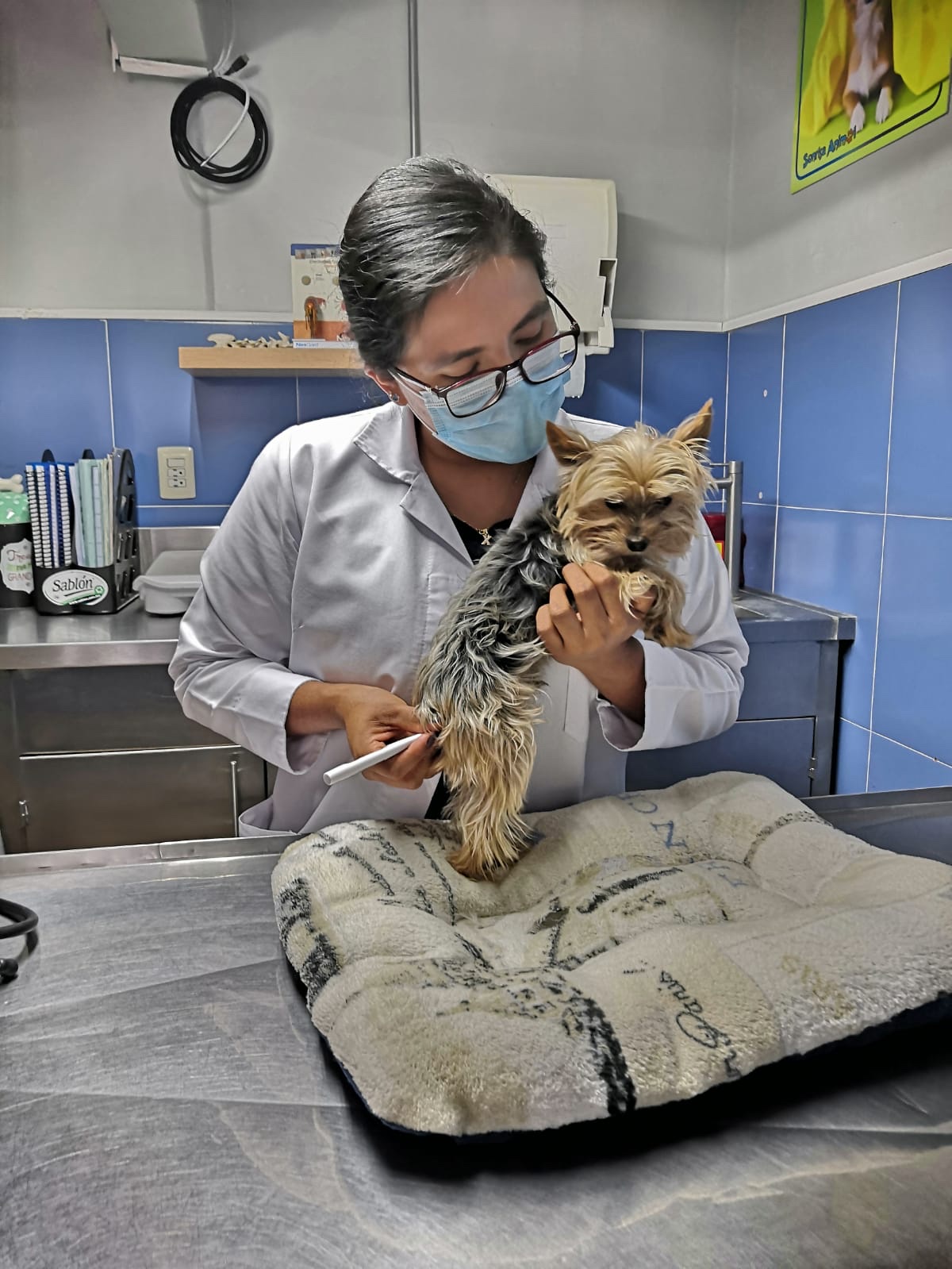 Sonrisa Animal — foto 3