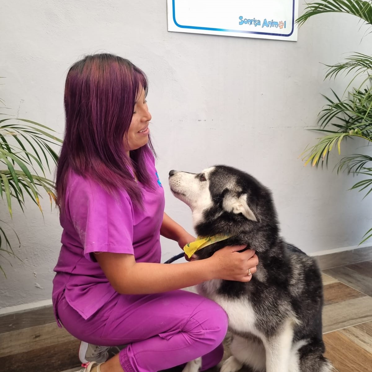 Sonrisa Animal — foto 4