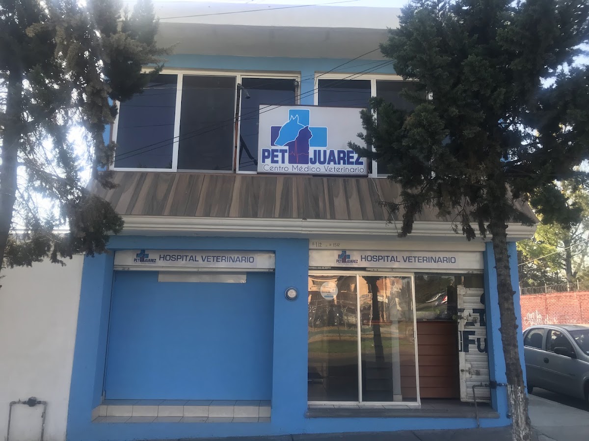 Centro Médico Veterinario Pet-Juárez — foto 3