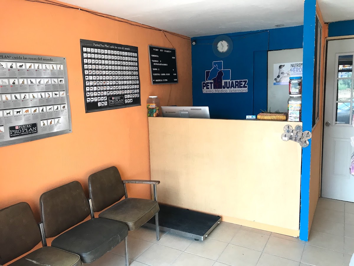 Centro Médico Veterinario Pet-Juárez — foto 4