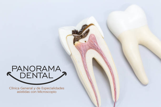 Especialista en Dolor Dental - Endodoncia Dra. Navarro.