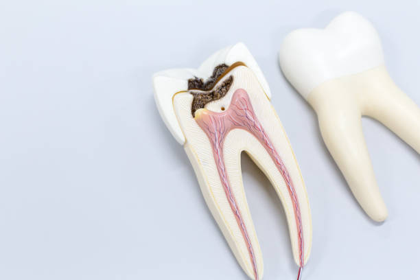 Especialista en Dolor Dental - Endodoncia Dra. Navarro. — foto 3