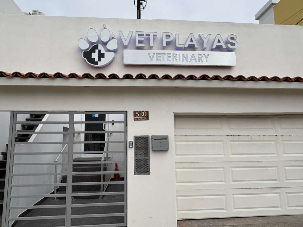 Derma Spa Dermatology Laser Clinic — foto 4