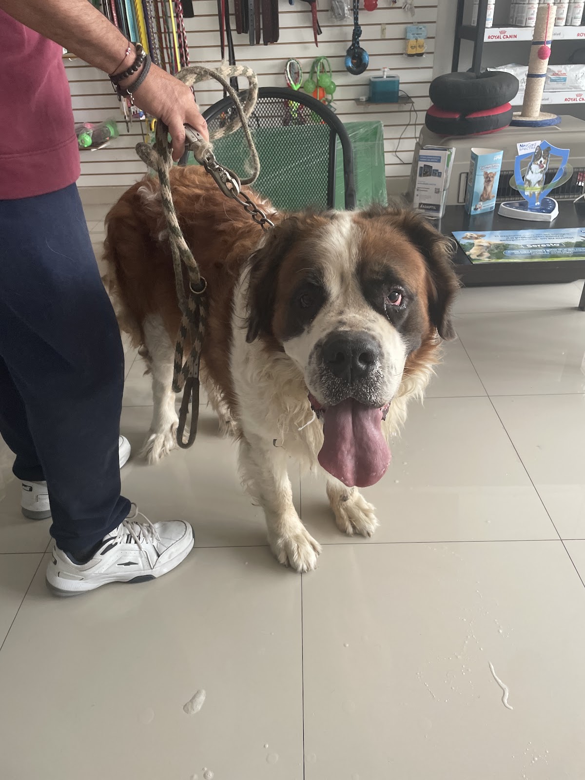 VETERINARIA DR. MEMO — foto 3