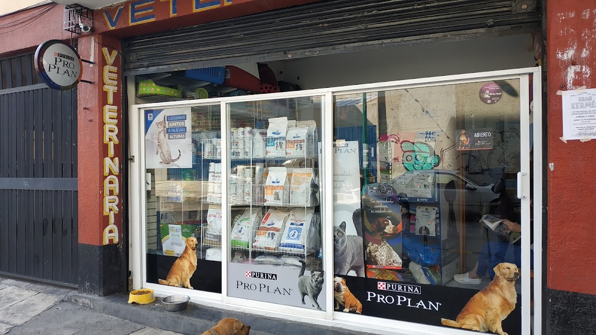 VETERINARIA LOS ÁNGELES — foto 2
