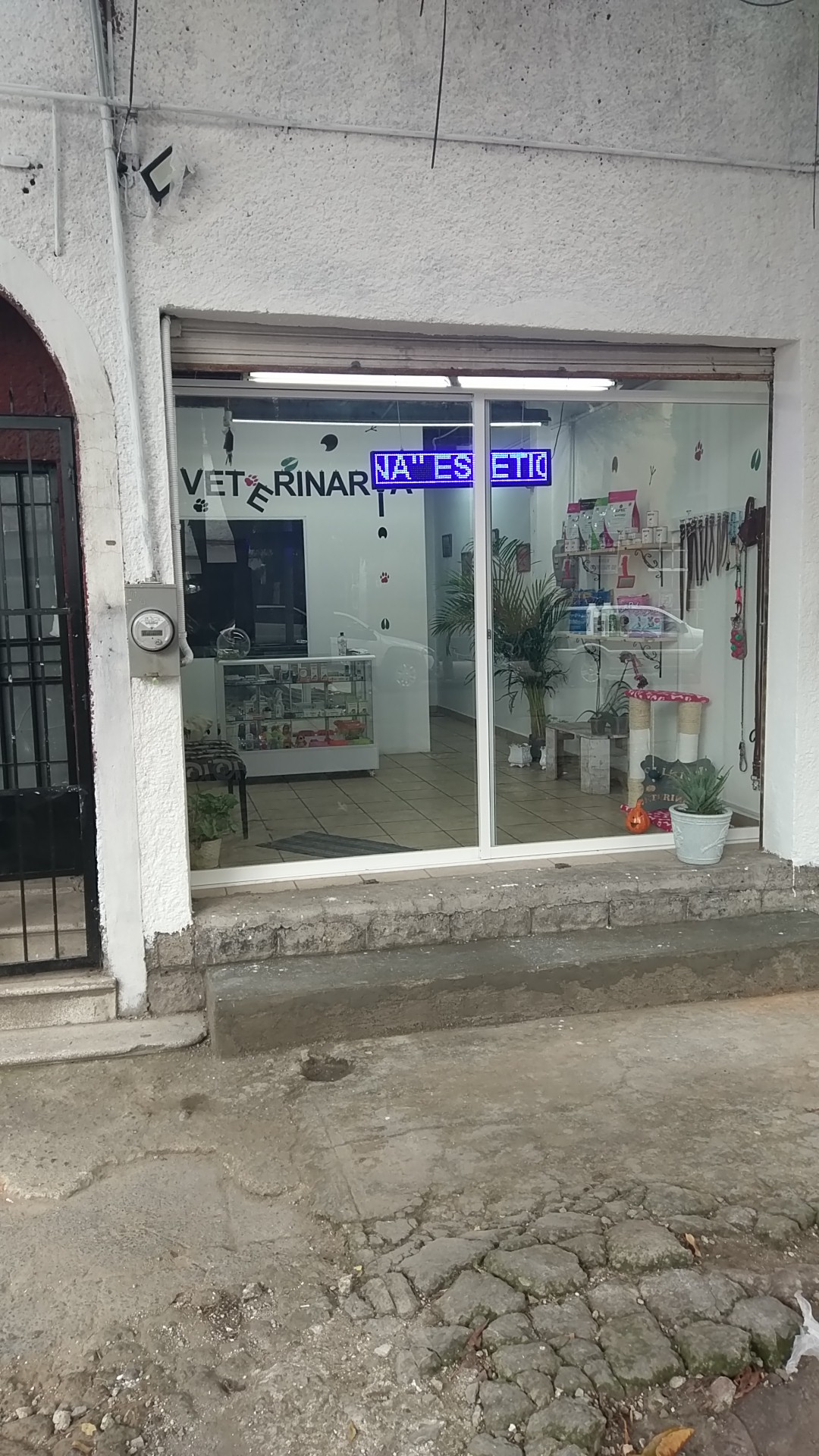 Veterinaria Mina — foto 3
