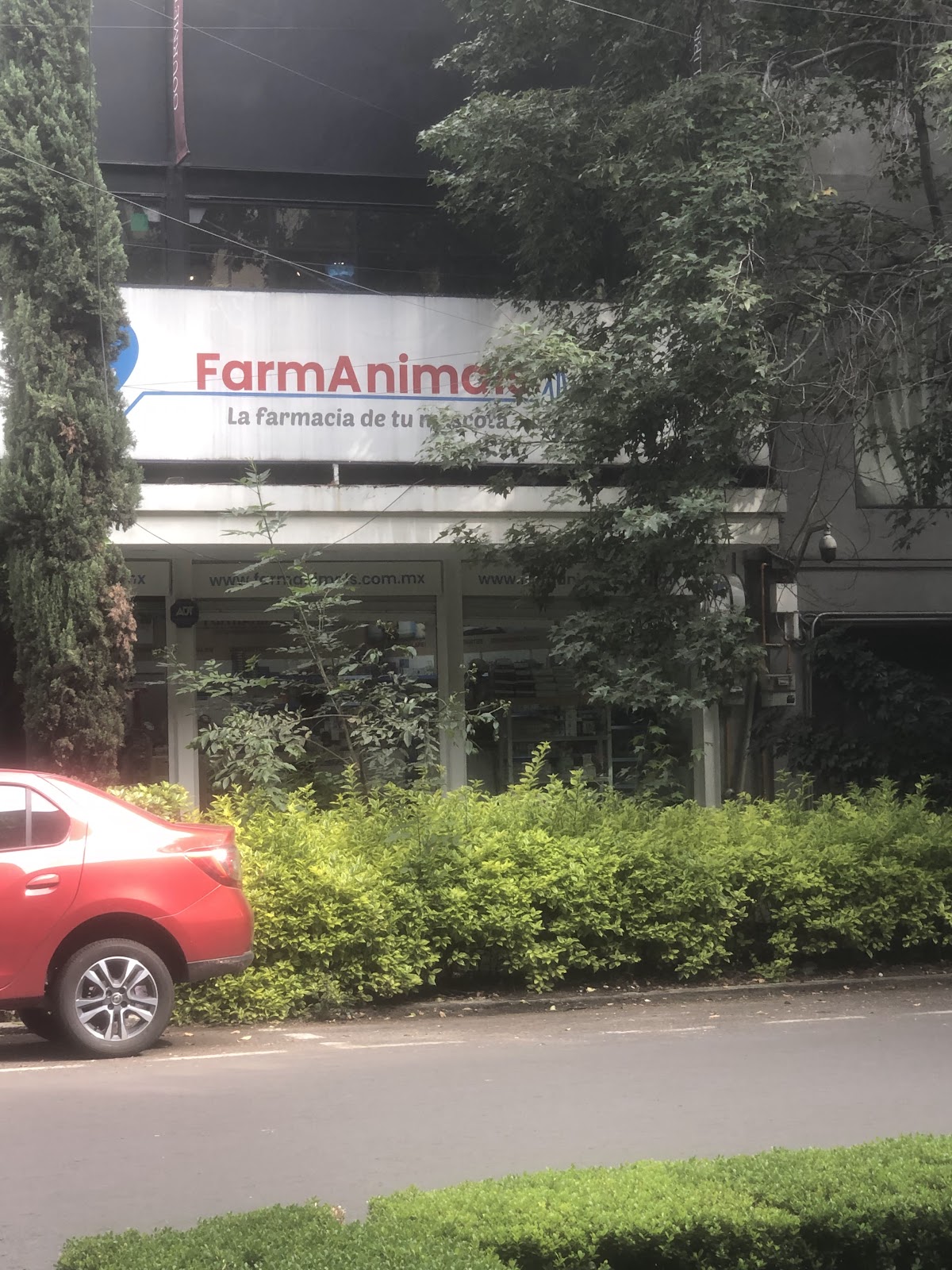 FarmAnimals Polanco — foto 2