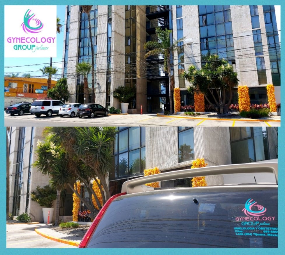 Gynecology Group Palmas