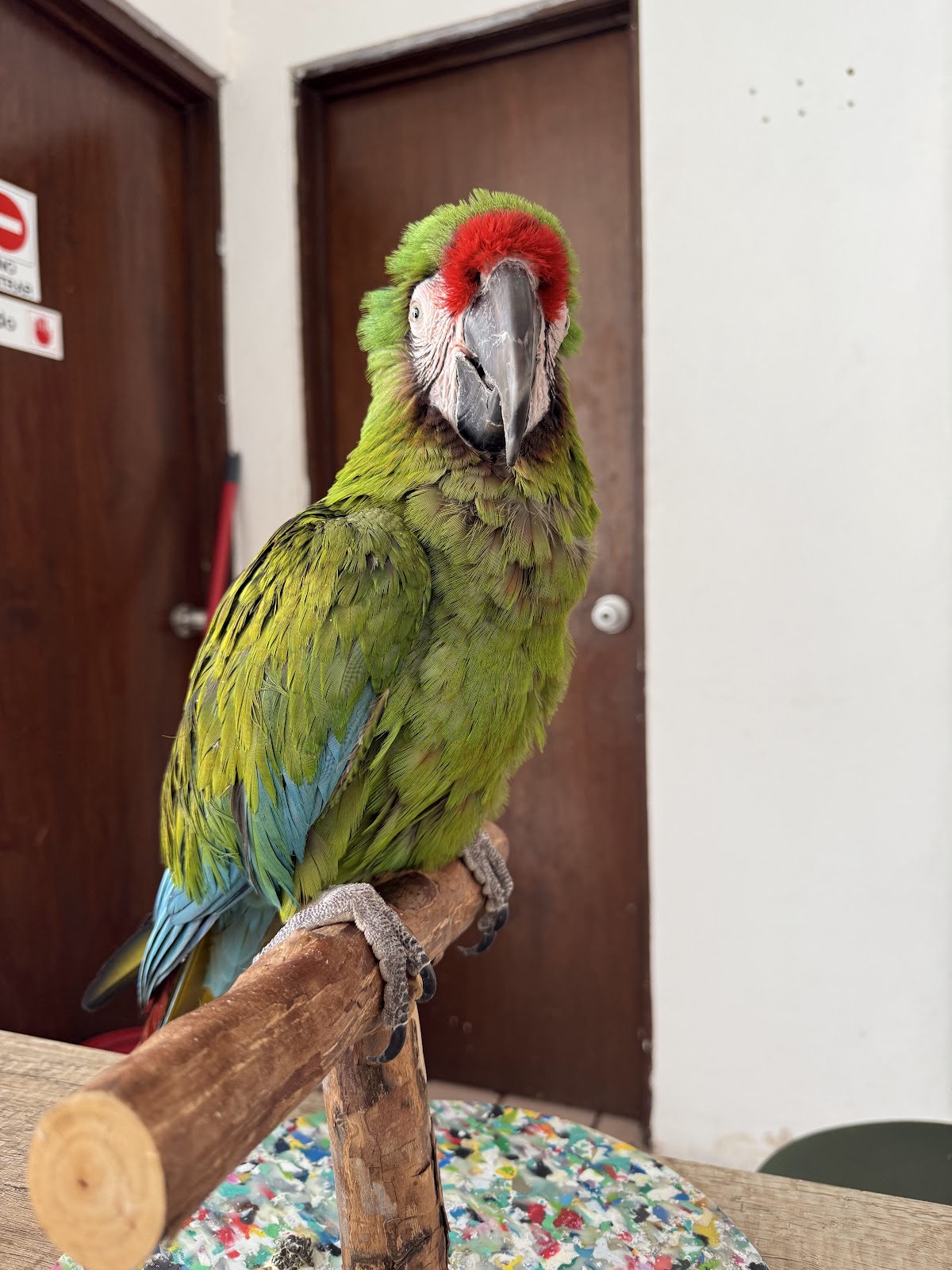 HAO Hospital de Aves de Occidente — foto 3