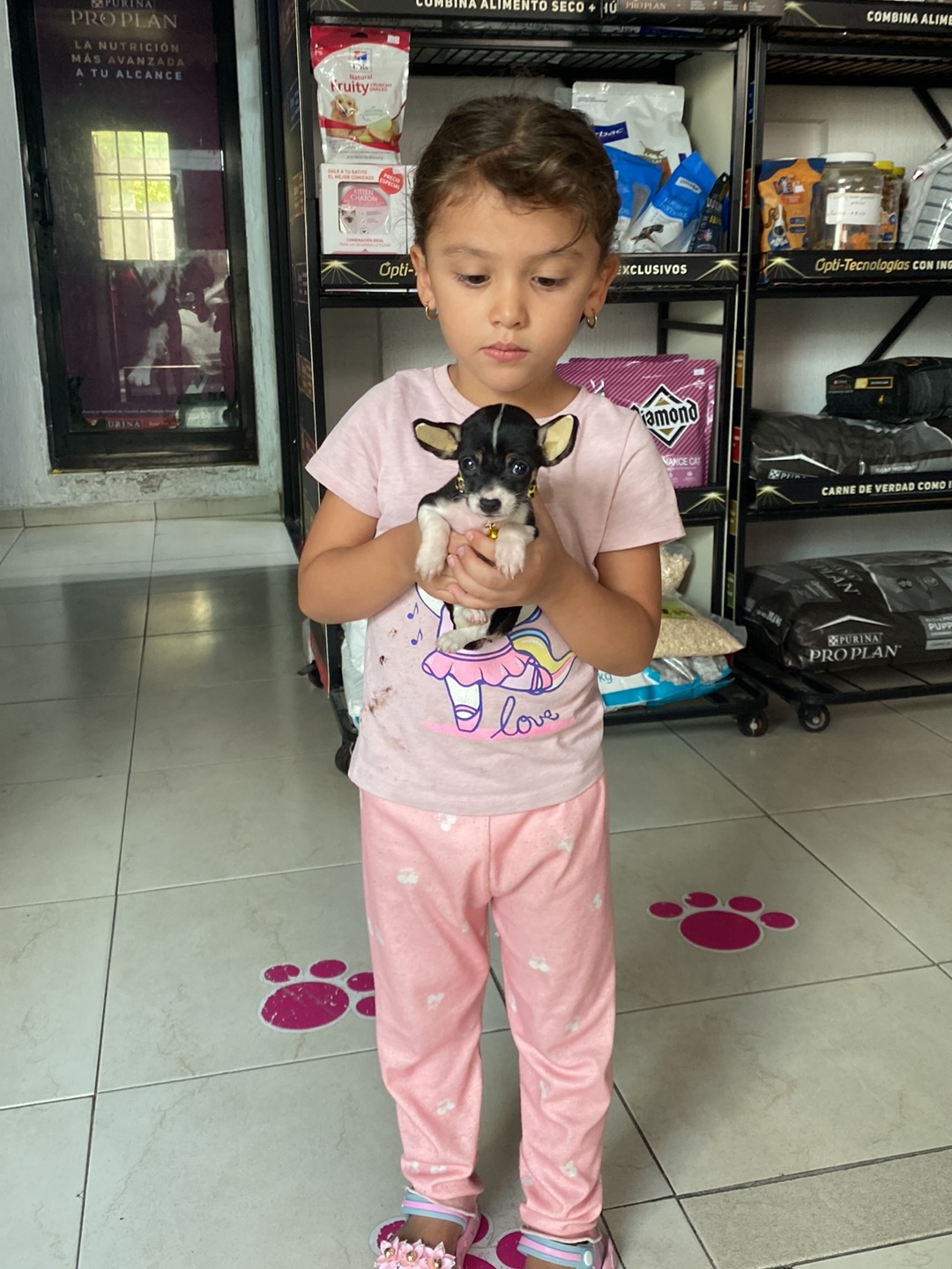 Clínica veterinaria kennedy — foto 2