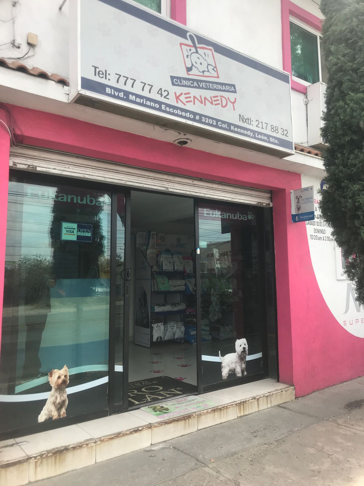 Clínica veterinaria kennedy — foto 4