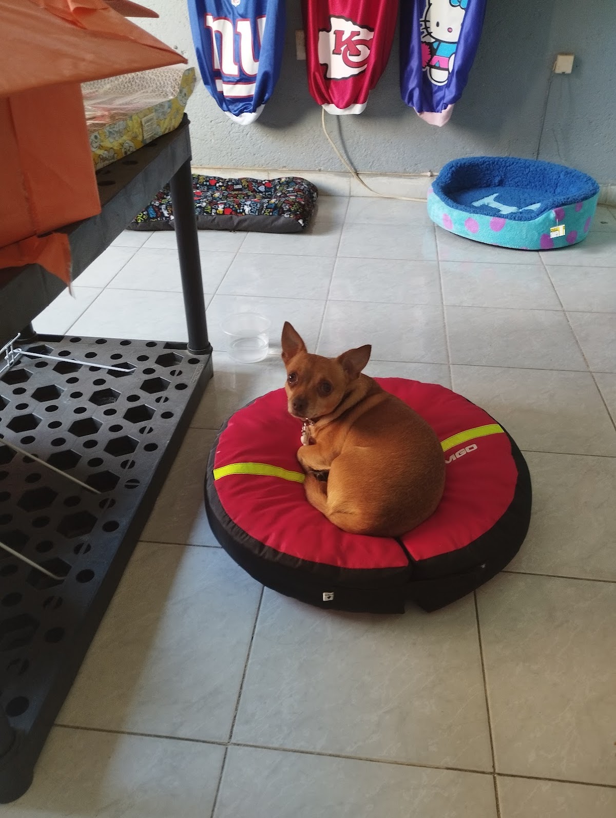 Veterinaria La Croqueta