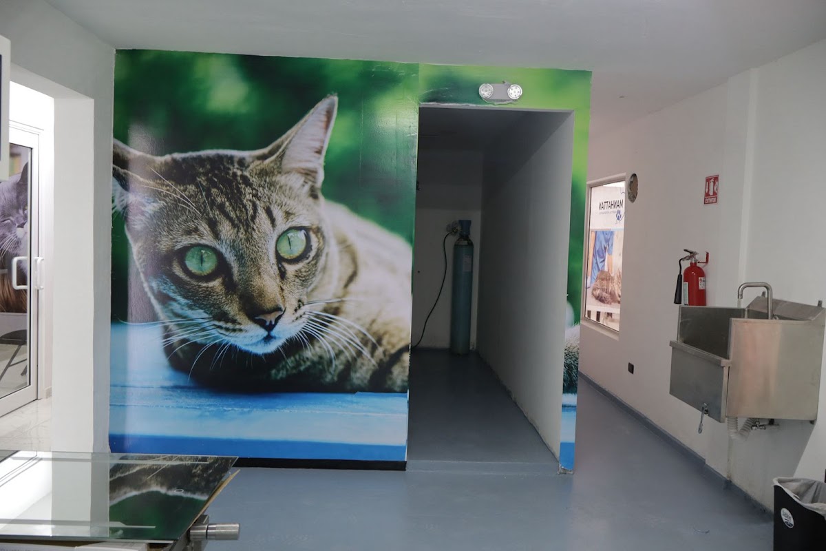 Hospital Veterinario Manhattan — foto 2