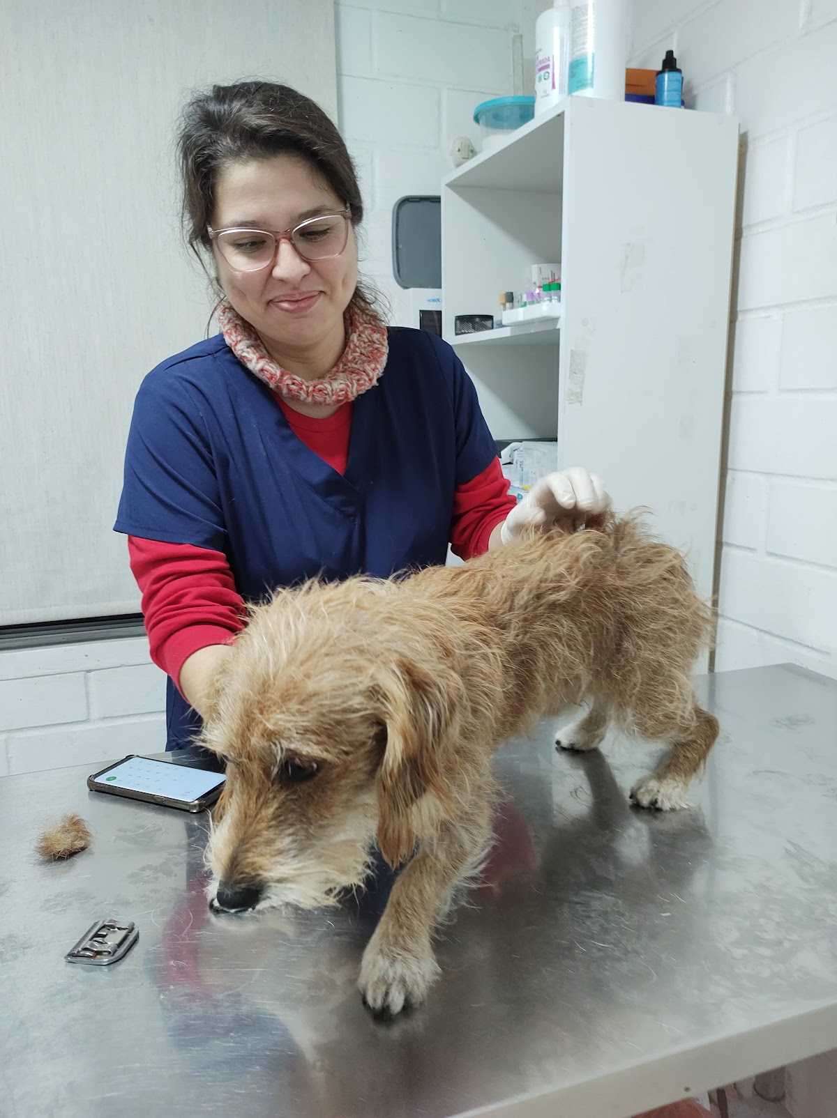 Hospital Veterinario Champestre — foto 2