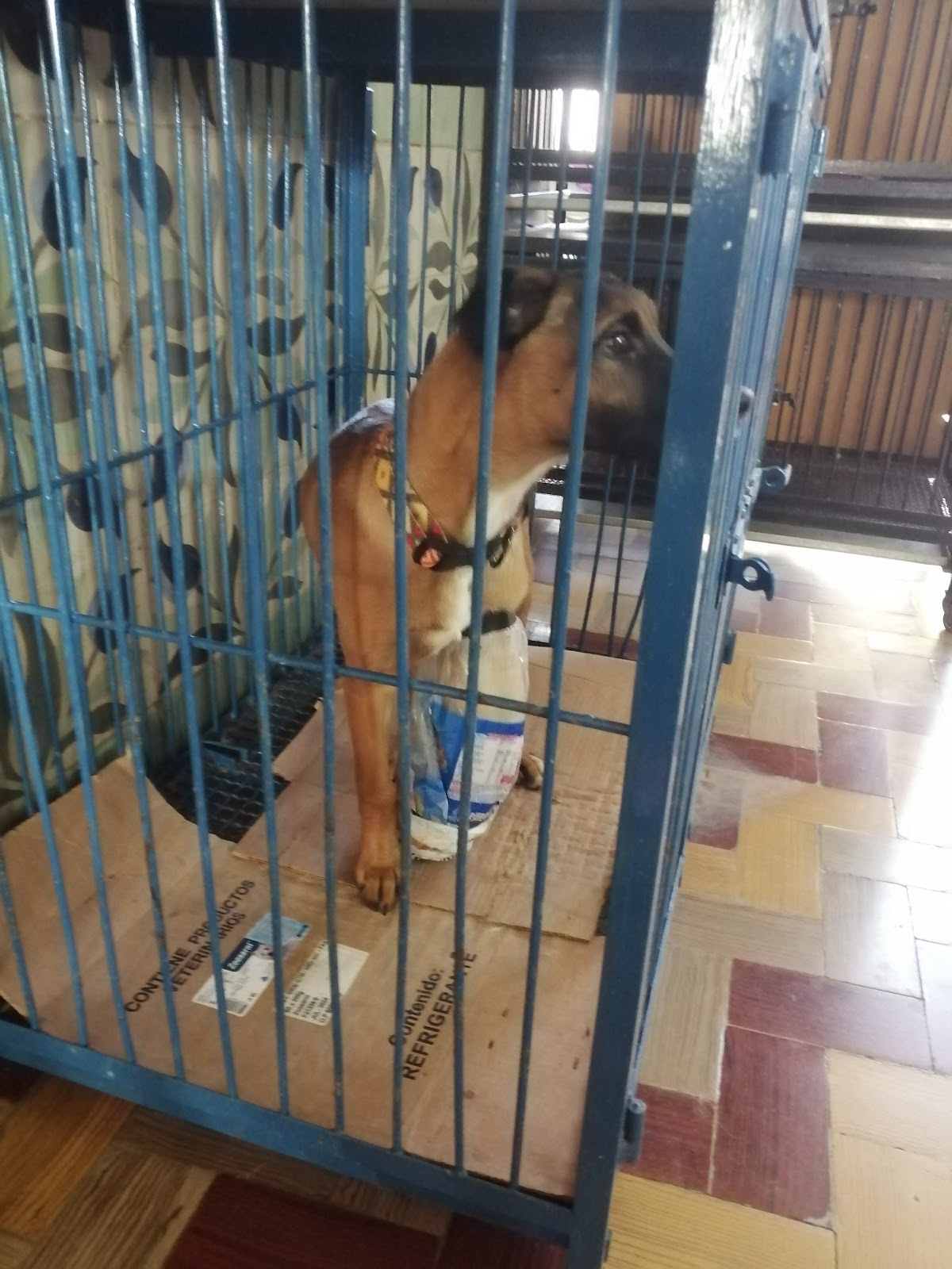 Veterinaria Moya — foto 3