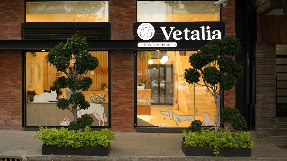 Vetalia Condesa - Hospital Veterinario 24 horas