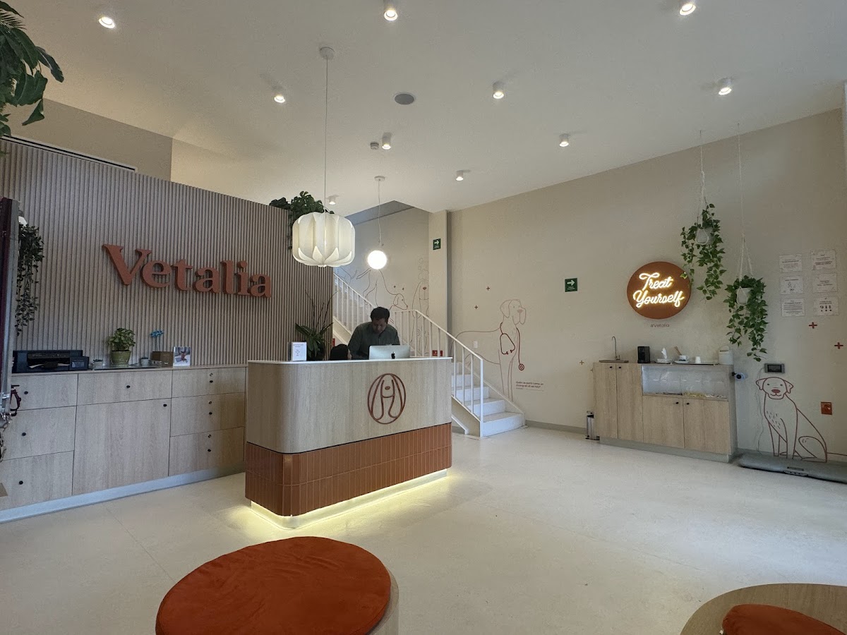 Vetalia Condesa - Hospital Veterinario 24 horas — foto 2
