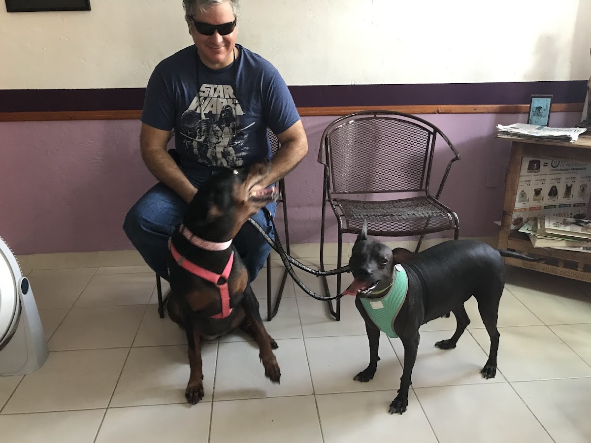 Clinica Veterinaria Dr Rene Guzman