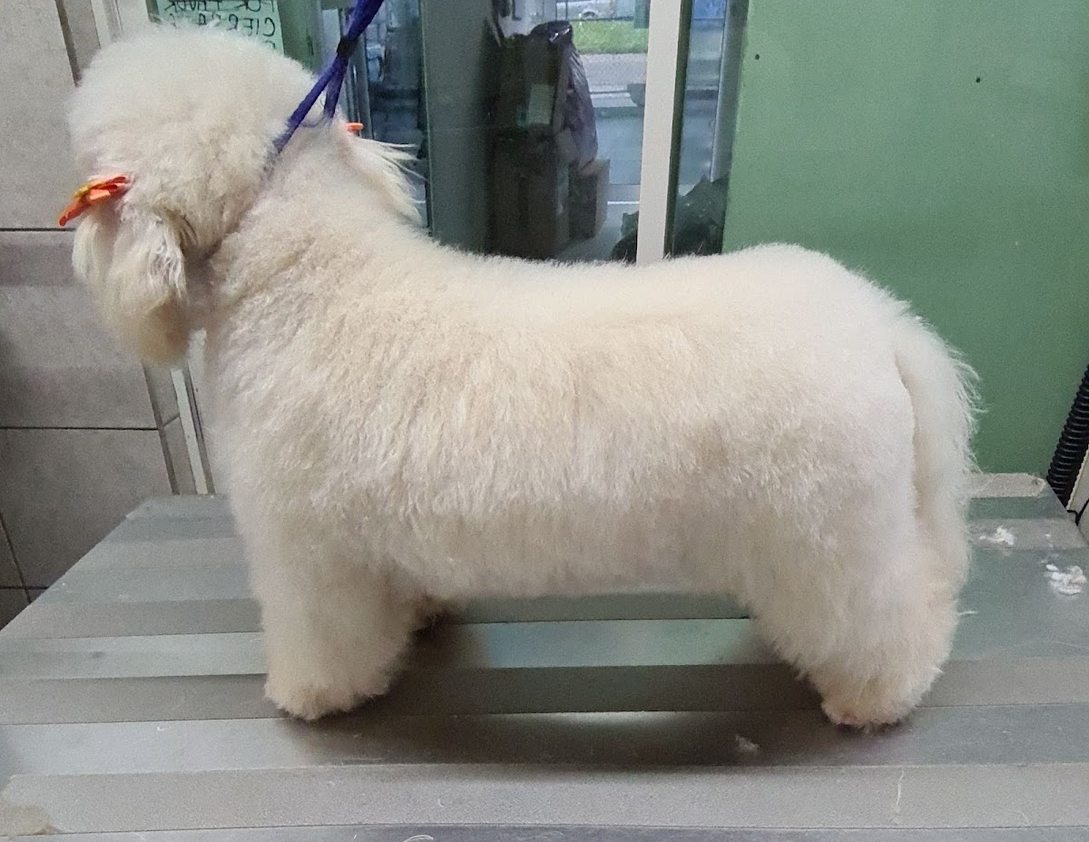 Veterinaria San Jose — foto 2