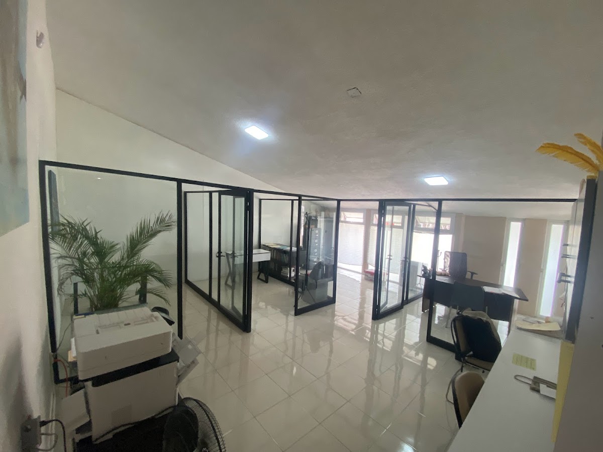 LITE MÉXICO Abogados — foto 4