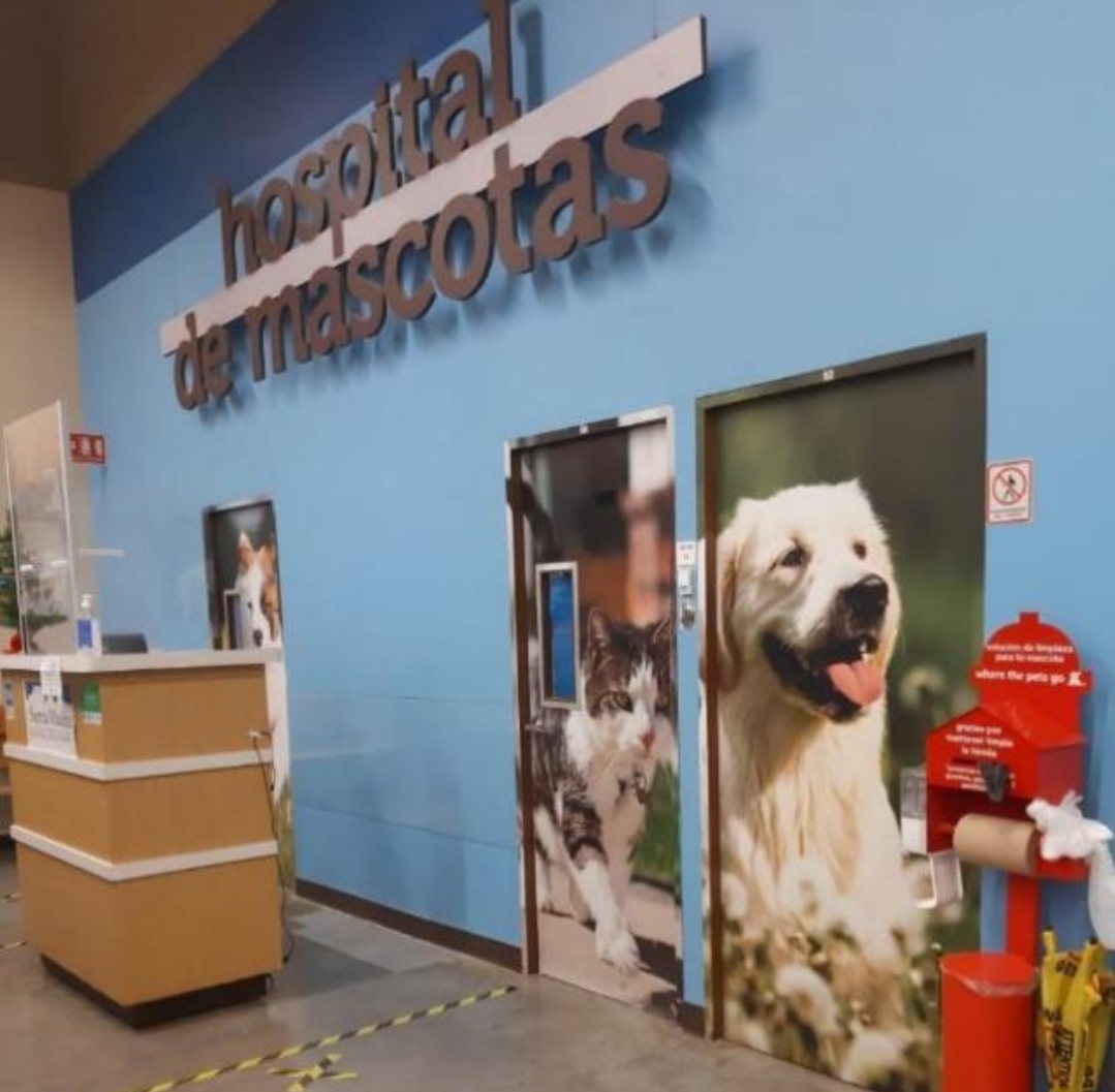 Sierra Madre Hospital Veterinario San Agustín