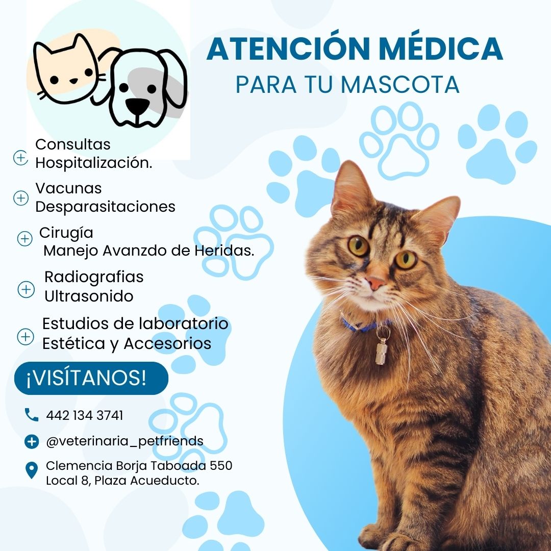 Veterinaria Pet Friends — foto 3