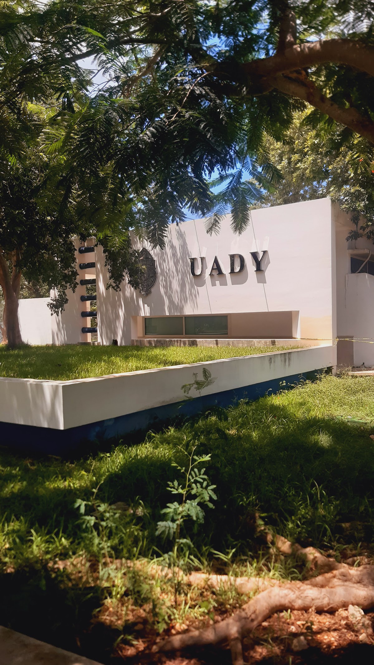 Facultad de Derecho UADY — foto 4