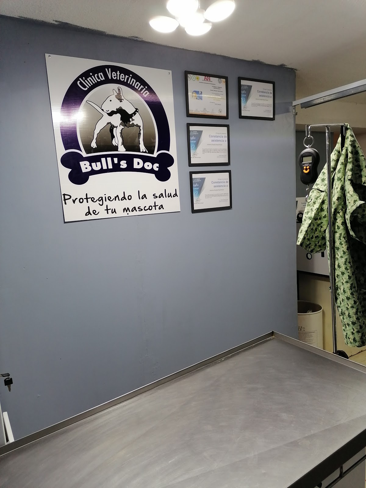 Bull's Doc Clinica Veterinaria — foto 2