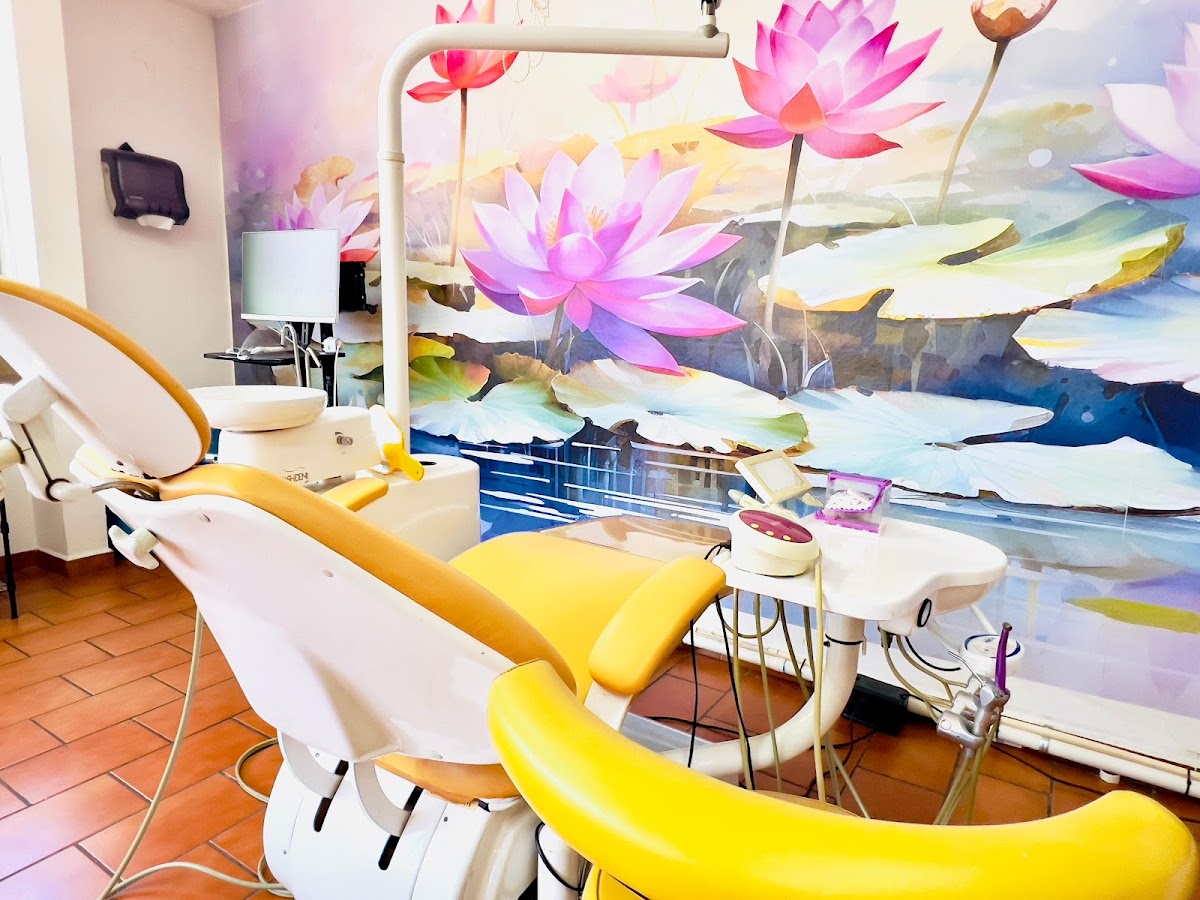 BM Dental — foto 2