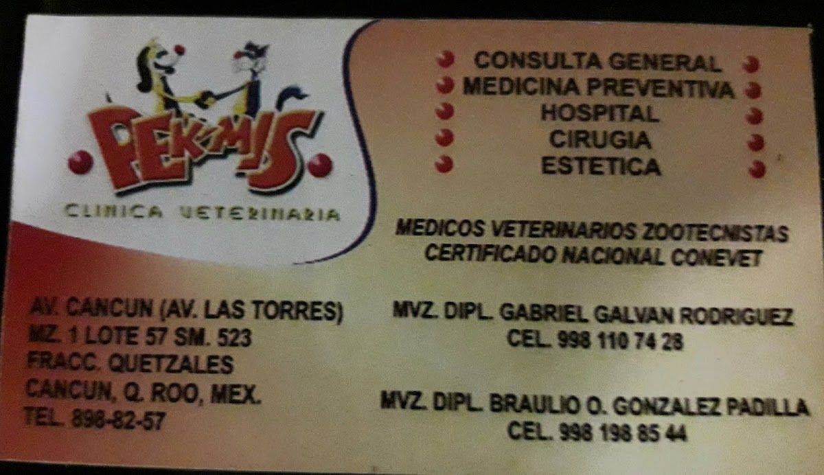 Clinica Veterinaria | Pek-Mis