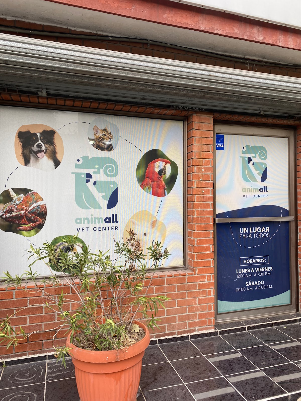 Animall Vet Center — foto 2