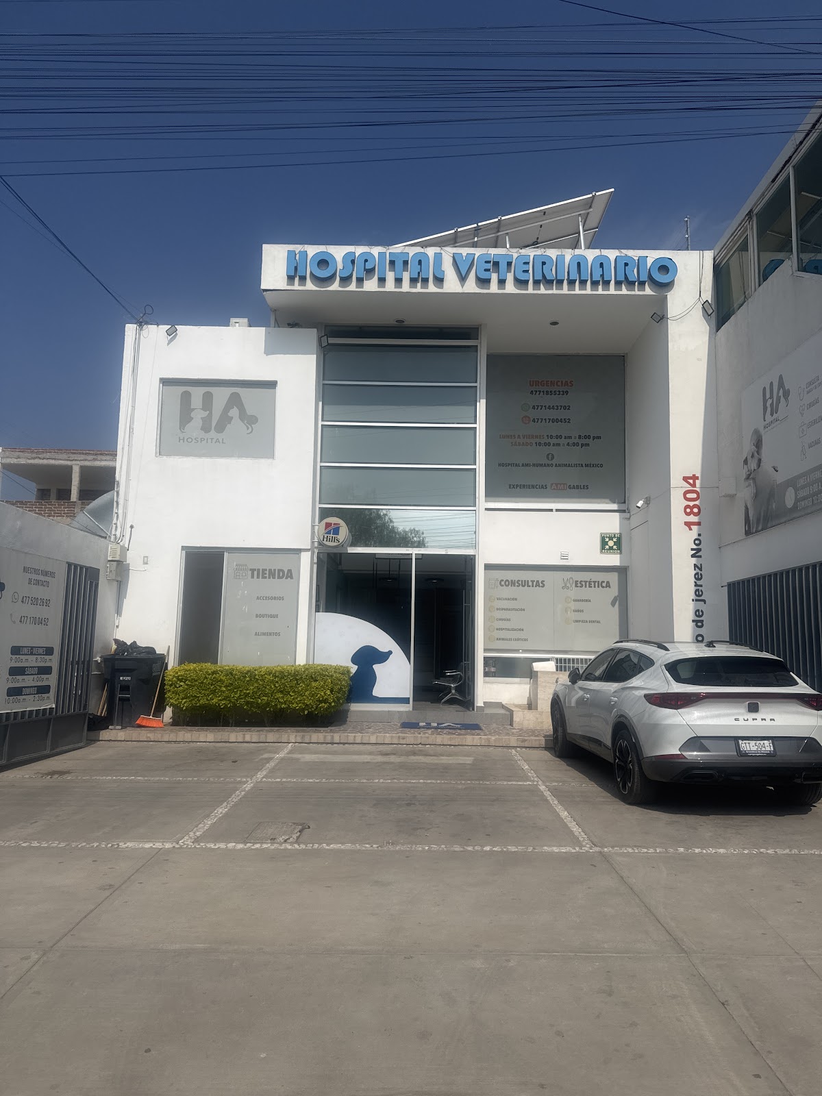 Hospital Veterinario AMI