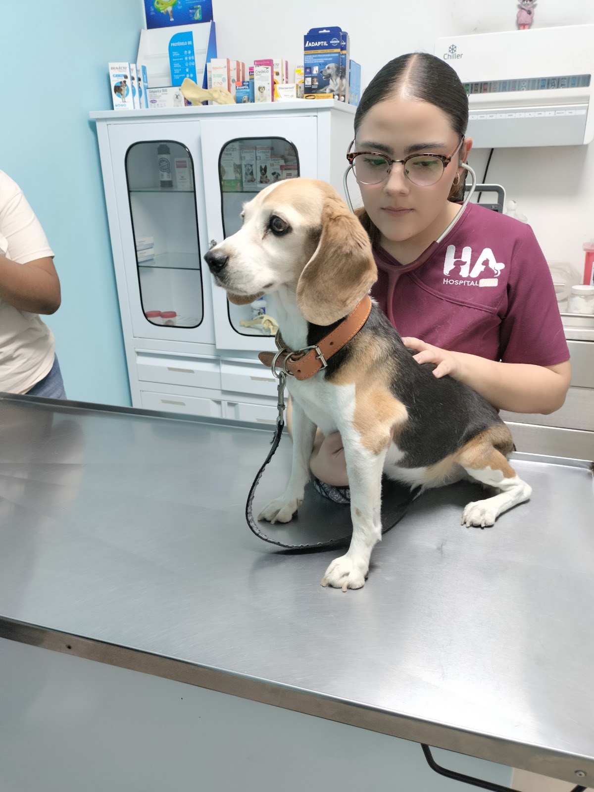 Hospital Veterinario AMI — foto 2