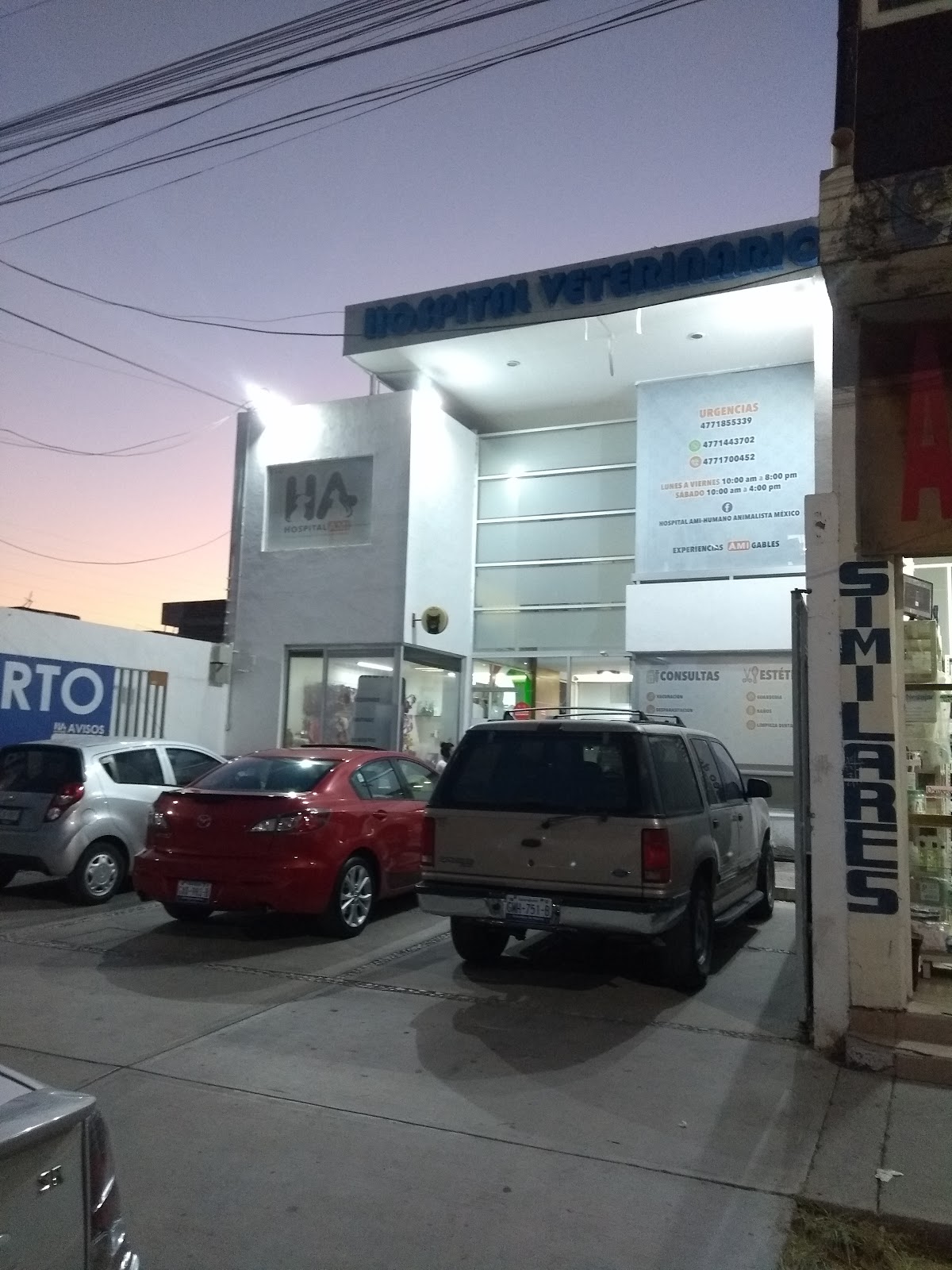 Hospital Veterinario AMI — foto 4