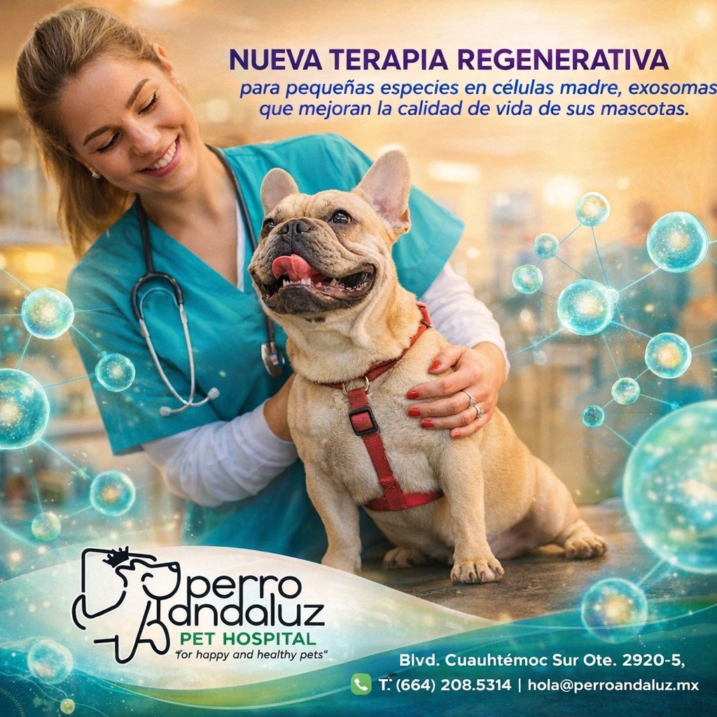 Perro Andaluz Hospital Veterinario (Pet Hospital) — foto 2